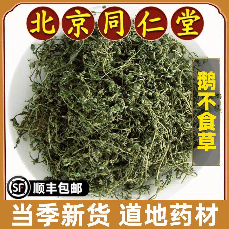 同仁堂鹅不食草正品 天然无硫熏中药材鹅不食草 纯净鹅不食草粉末