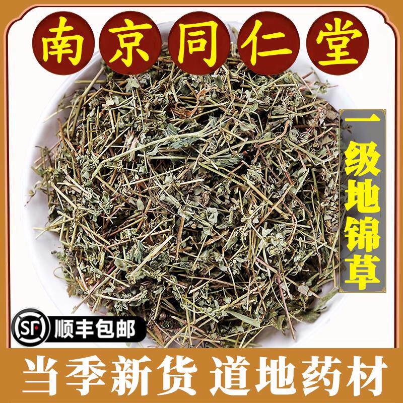 南京同仁堂地锦草中药材小虫卧蛋草小飞扬草奶浆草斑地锦草花盖地
