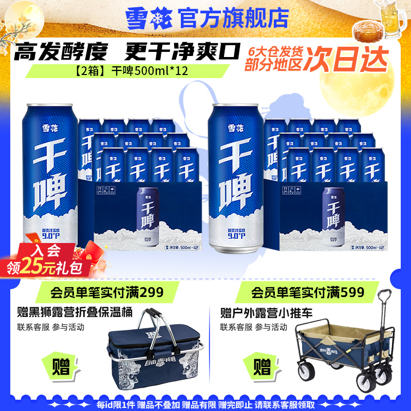 雪花啤酒500ml*12听*2箱