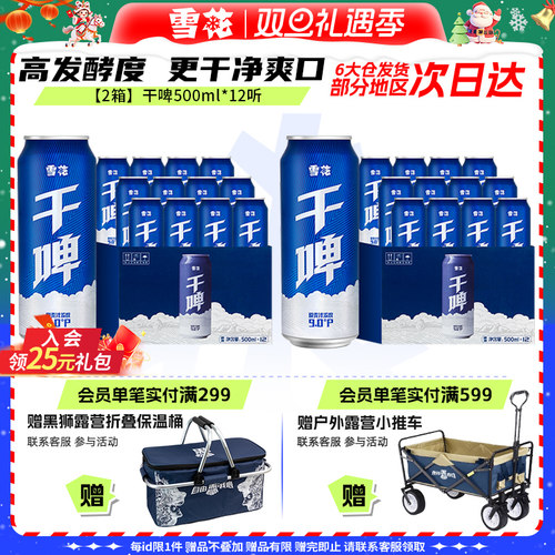雪花啤酒500ml*12听*2箱