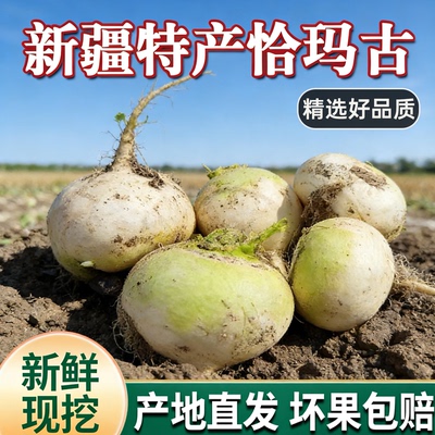 新鲜恰玛古食疗炖菜营养鲜蔬