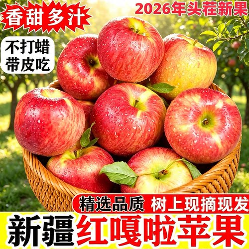 新疆嘎啦苹果脆甜多汁早茬鲜果