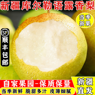 新疆库尔勒玉露香梨当季新鲜水果梨子脆甜多汁礼盒装整箱包邮