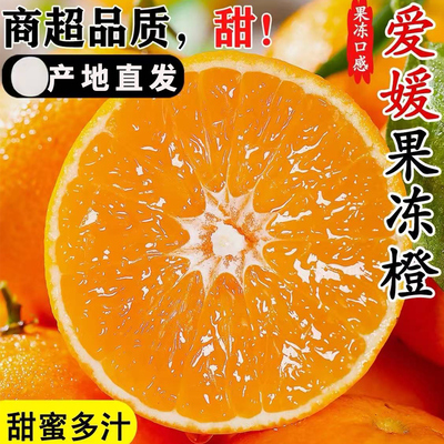 四川眉山爱媛38号果冻橙