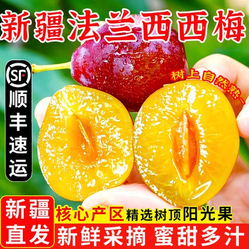 新疆西梅新鲜水果法兰西小西梅孕妇新鲜水果当季新疆现摘空运包邮