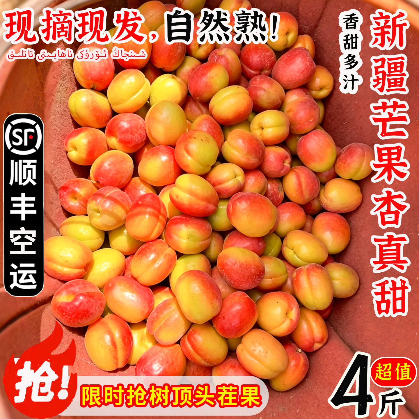 新疆阿克苏芒果杏新鲜现摘杏子当季水果香甜多汁孕妇鲜果顺丰包邮