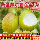 包邮 新疆库尔勒香梨当季 新鲜水果正宗全母梨子孕妇水果整箱10斤
