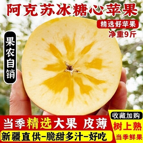 新疆阿克苏冰糖心苹果脆甜多汁