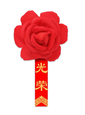 定做称谓退伍抗疫先锋优秀员工