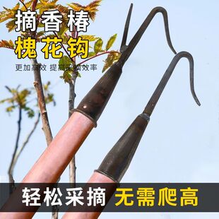 摘香椿槐花钩单钩双钩家用香椿采摘杆摘槐花榆钱的钩子香椿芽用钩