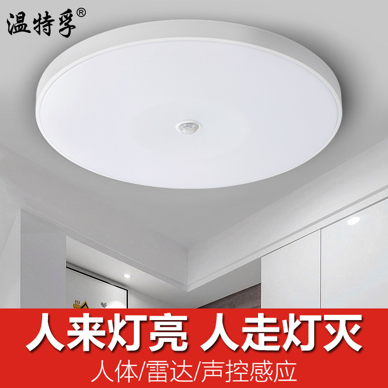 温特孚感应灯现代简约图片