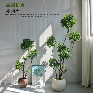 高端仿真绿植海桐树盆栽室内酒店橱窗客厅装饰假植物盆景摆件造景