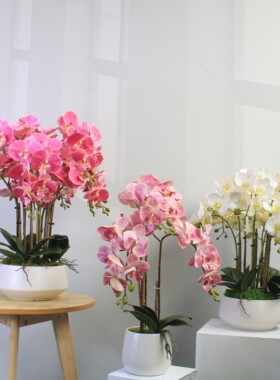 高端仿真蝴蝶兰3D打印假花客厅电视柜摆件酒店铺前台桌面轻奢装饰