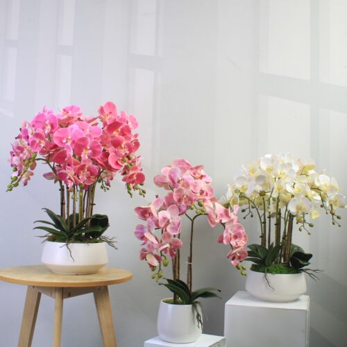 高端仿真蝴蝶兰盆景3D打印花瓣