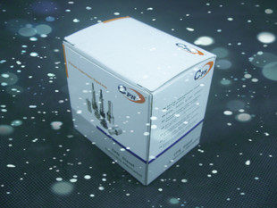 DLLA150P602 适用于丰田1Z 2Z 1DZ TOYOTA 2.5T叉车 6FD25喷油嘴