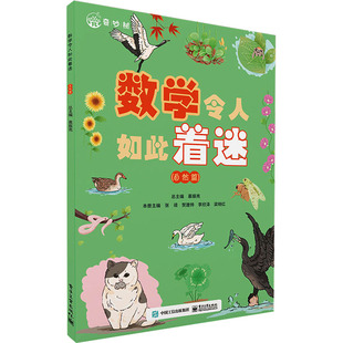 【正版】 数学令人如此着迷 9787121481550 总主编慕振亮 电子工业出版社