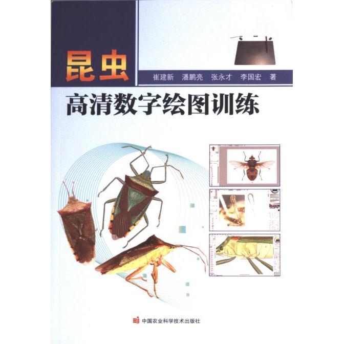 【官方正版】 昆虫高清数字绘图训练 9787511660909 崔建新 ... [等] 著 中国农业科学技术出版社