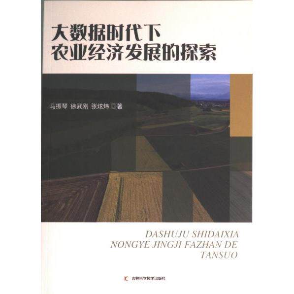 【官方正版】 大数据时代下农业经济发展的探索 9787557896157 马振琴, 徐武刚, 张炫炜著 吉林科学技术出版社