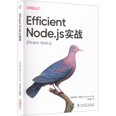 【官方正版】 Efficient Node.js实战 (美) 萨默·布纳著 中国电力出版社 9787523911242