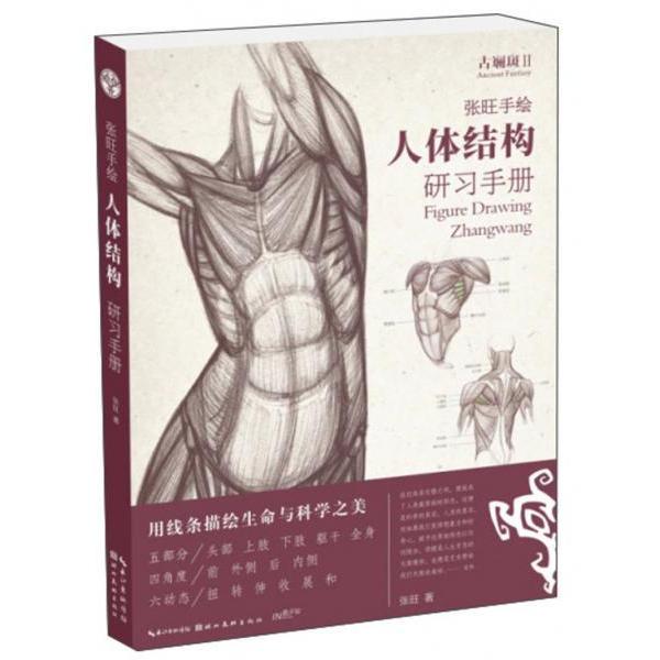 【官方正版】 张旺手绘人体结构研习手册 张旺著 湖北美术出版社 9787539498942