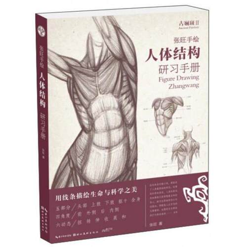 【官方正版】 张旺手绘人体结构研习手册 张旺著 湖北美术出版社 9787539498942
