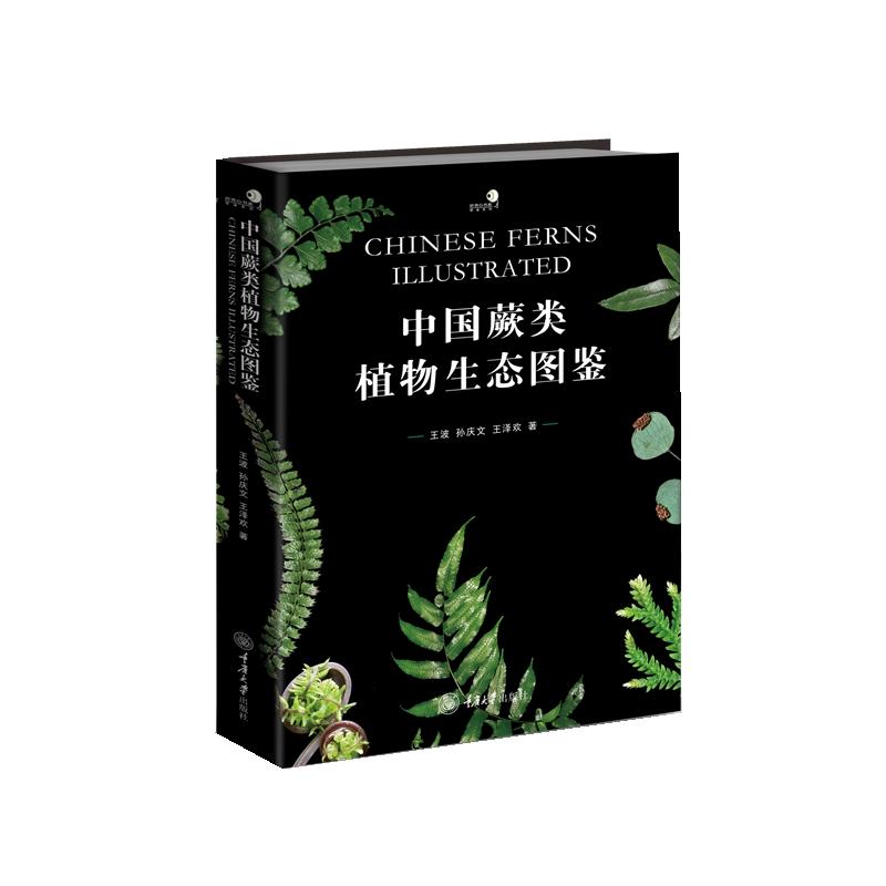 【官方正版】 中国蕨类植物生态图鉴 9787568941105 王波, 孙庆文, 王泽欢著 重庆大学出版社