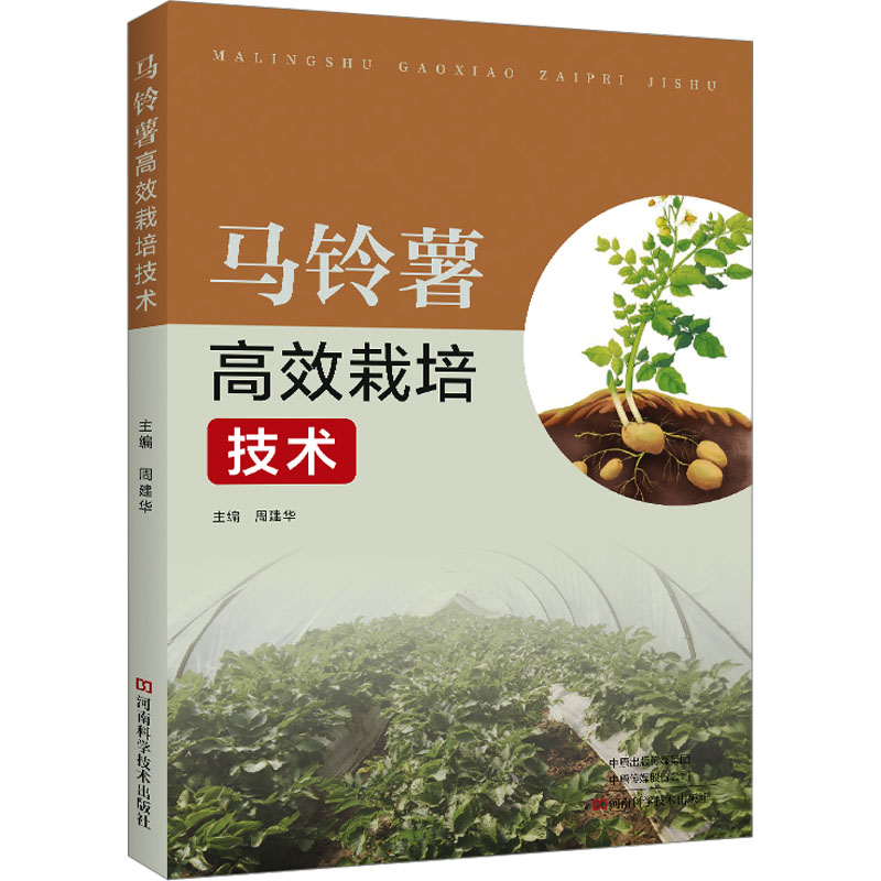 【官方正版】 马铃薯高效栽培技术 9787572516955 周建华, 主编 河南科学技术出版社