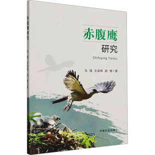 【官方正版】 赤腹鹰研究 9787109321724 马强, 王龙祥, 胡博著 中国农业出版社