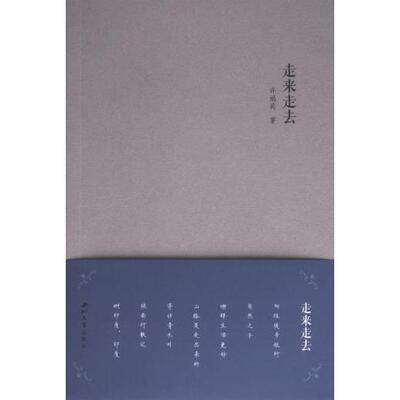 【官方正版】 走来走去 9787560451091 许娟莉, 著 西北大学出版社