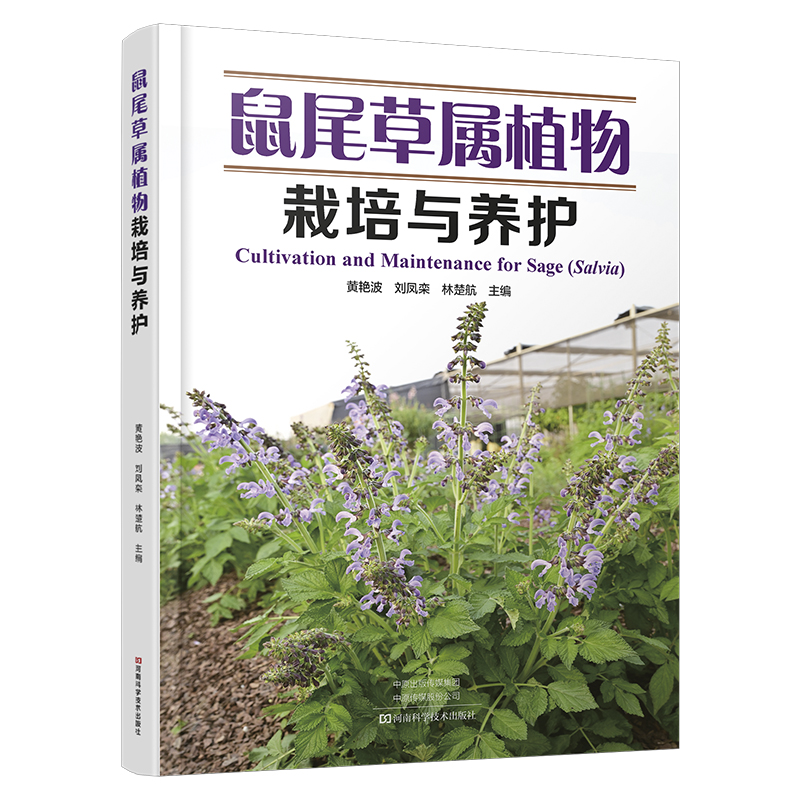 【官方正版】 鼠尾草属植物栽培与养护 黄艳波, 刘凤栾, 林楚航主编 河南科学技术出版社 9787572518904
