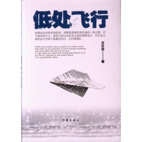 【官方正版】 低处飞行 9787521226119 王计兵著 作家出版社