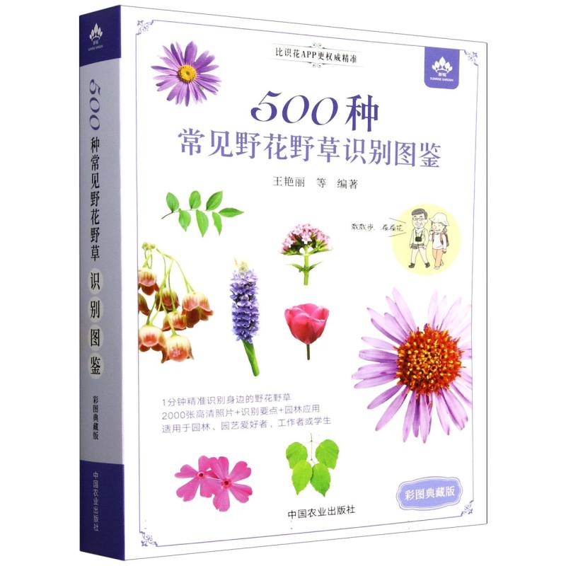 【官方正版】 500种常见野花野草识别图鉴 王艳丽等编著 中国农业出版社 9787109324541