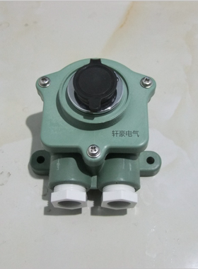 配套插座RE-254P  CXD8白昼信号灯配套插座 330648国际代码 24V