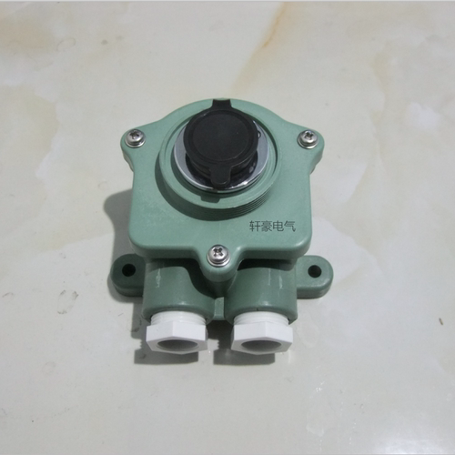 配套插座RE-254P  CXD8白昼信号灯配套插座 330648国际代码 24V