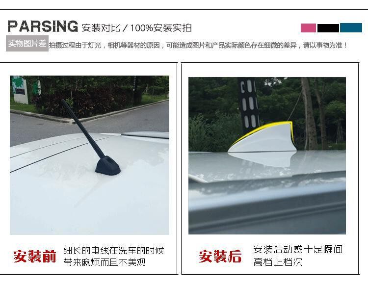 专用雷诺斯特冒险家收音机天线