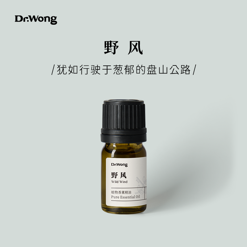 Dr.Wong「野风」车载复方精油清新通透提神专注汽车车用植物香薰