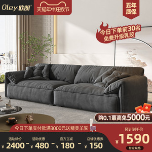 大象耳朵沙发意式极简baxter布艺沙发客厅小户型网红科技布沙发