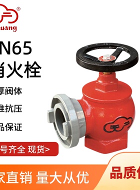 室内消火栓消防水带阀门 SN65三铜消防水龙头2.5寸消防天广消火栓