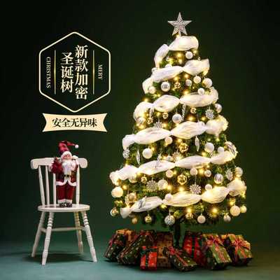 家用加密圣诞树客厅摆件套装发光2025新款高级感仿真圣诞节装饰品