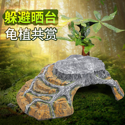 躲避屋乌龟晒台爬沉木石头造景鱼