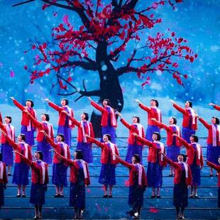 江姐舞台话剧服装红梅赞绣红旗大合唱戏服演出红色经典回报表演服