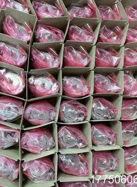 SKM36-HFA0-S01 和 SKM36-HFA2-S0