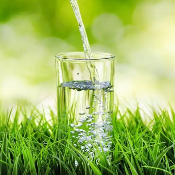 【大瓶装纯露500ml】晶制福利500ml大瓶装纯露惊喜福利