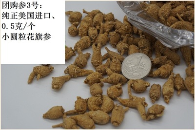 美国小开叉花旗参野生西洋参原尾泡参威斯康辛州小原粒
