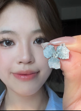 S925银针渐变蓝花朵耳钉女小众设计感高级轻奢气质百搭耳环耳饰女