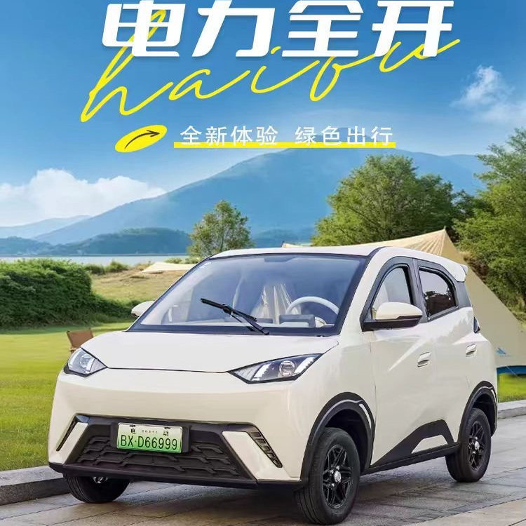 2025新款老头乐电动四轮车家用成人代步车小型女士空调封闭电瓶车