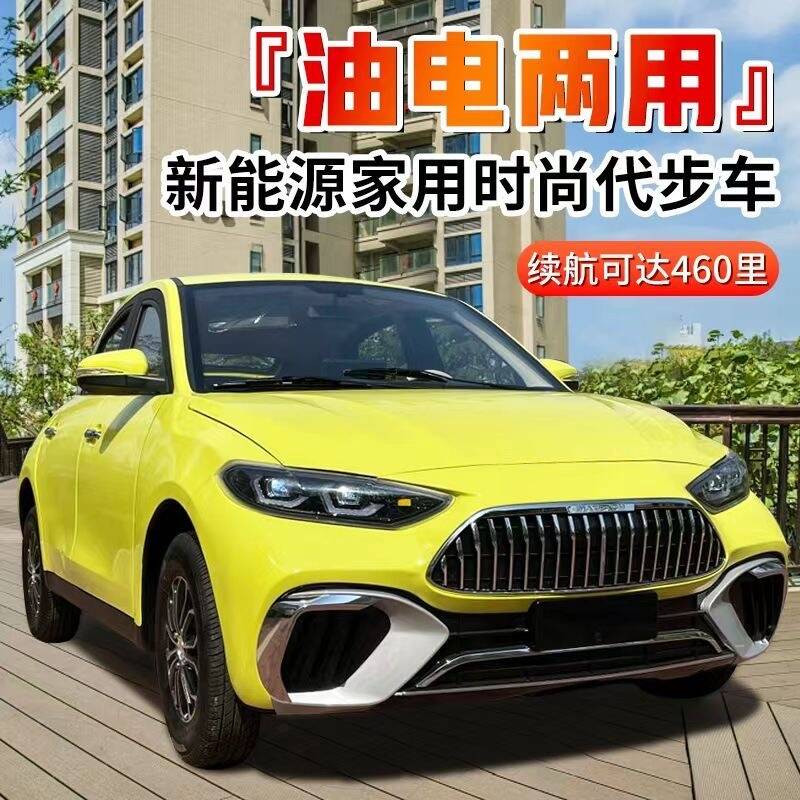 新款油电两用四轮车全封闭