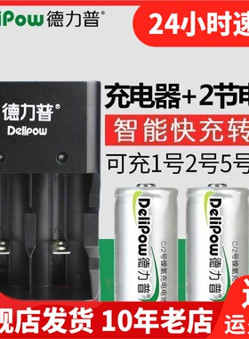 保护手电筒毫安进口电池原装强光容量锂电池Delipow德力普充电器
