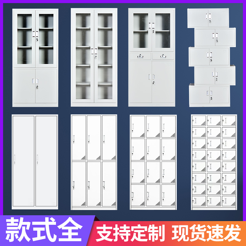 汕尾市物钢制办公文料件柜铁皮案资847财务凭证柜员工档储物更衣