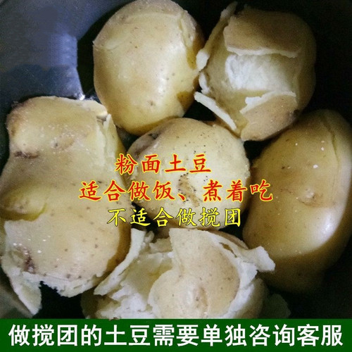 2025新土豆包邮甘肃武都土豆新鲜高山粉面土豆非洋芋搅团土豆